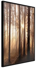 Poster  Morning in the Forest  Cornice Quadri Cornice nera, Larghezza x Altezza Home decor 20x30