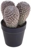 Set 3 Cactus Artificiale X 3 con Vaso Altezza 16 cm