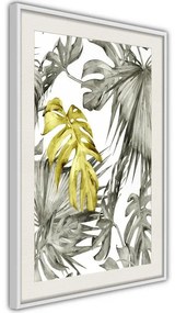 Poster  Extraordinary Leaf  Cornice Quadri Cornice d'oro con passe-partout, Larghezza x Altezza Home decor 30x45