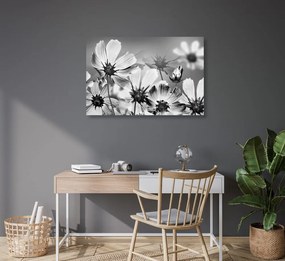 Stampa su tela – Fiori estivi in bianco e nero