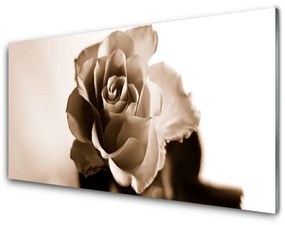 Quadro acrilico Pianta di fiori di rosa 100x50 cm