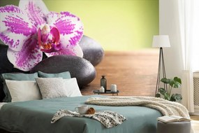 Carta da parati autoadesiva – Orchidea e pietre nere