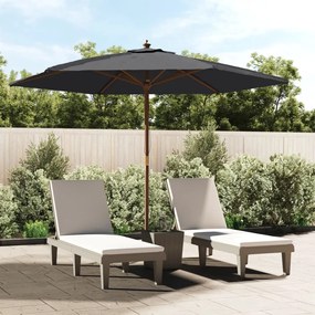 Ombrellone Da Giardino Con Palo İn Legno Nero 299x240 Cm /