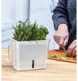 Cole&Mason - Contenitore per conservare le erbe aromatiche appena tagliate