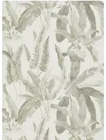 Tapete Benmore von Nina Campbell - Grey/ Ivory