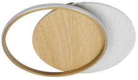 Plafoniera LED dimmerabile LED/60W/230V 3000-6500K + telecomando