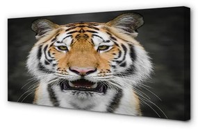 Quadro su tela Tigre 100x50 cm