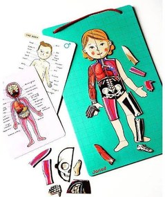 Bodymagnet - Lavagna magnetica - corpo umano