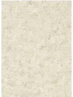 Clarke & Clarke Carta da parati Impression - Natural
