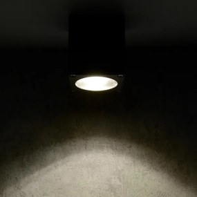 Applique da esterno MORRIS 1xGU10/35W/230V IP54