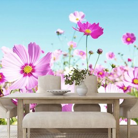 Carta da parati – Prato di Fiori Primaverili