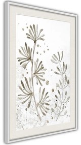 Poster  Dried Plants  Cornice Quadri Cornice nera, Larghezza x Altezza Home decor 40x60