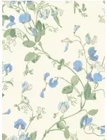 Cole & Son Carta da parati Sweet Pea - Blue