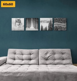 Set di quadri – Lupo nel bosco misterioso in bianco e nero