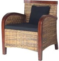 Poltrona in Rattan Intrecciato a Mano 242025