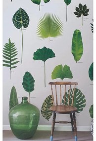 Fotomurale ESTA Foglie, Verde 189X279 cm