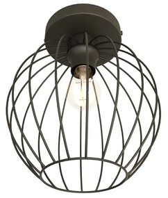 Plafoniera Minimal Industrial Nest 1 Luce Nera