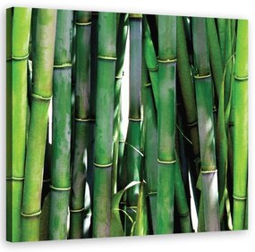 Quadro su tela, Bamboo verde