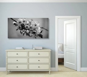 Quadro su tela – Ramo fiorito di ciliegio in bianco e nero