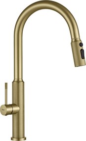 Rubinetto da cucina Rea Master Brush Gold