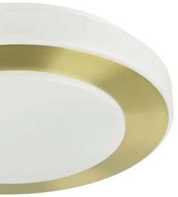 Eglo 900369 - Plafoniera LED da bagno CARPI LED/10,8W/230V IP44