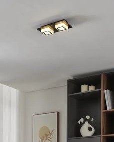 Eglo 99362 - Plafoniera LED MASIANO 2xLED/3,3W/230V