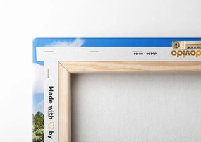 Stampa su tela – Natura in estate