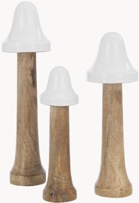 Set di 3 oggetti decorativi in legno di mango Pilzen