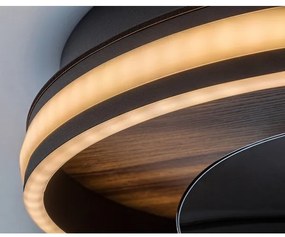 Rabalux 71016 - Plafoniera LED dimmerabile FAUSTINE LED/30W/230V + +TC