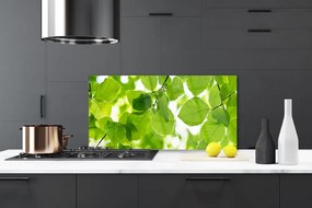 Rivestimento parete cucina Foglie di piante naturali 100x50 cm