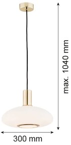 Argon 4358 - Lampadario a sospensione con filo SAGUNTO 1xE27/15W/230V diametro 30 cm ottone