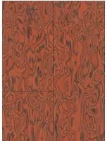 Arte Carta da parati Coti - Fire Orange