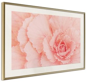 Poster  Delicate Petals  Cornice Quadri Cornice d'oro con passe-partout, Larghezza x Altezza Home decor 60x40