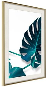 Poster  Turquoise Monstera I  Cornice Quadri Cornice d'oro con passe-partout, Larghezza x Altezza Home decor 20x30