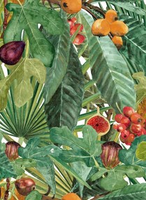 Coordonne Tapete Neo-Vegetable - Summer