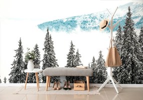 Fotomurale – Alberi di pino innevati