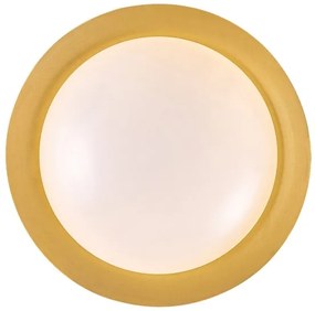 Rabalux 71188 - Plafoniera LED HAFSA LED/20W/230V diametro 30 cm