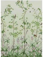 Little Greene Carta da parati Bird and Bluebell - Pea Green