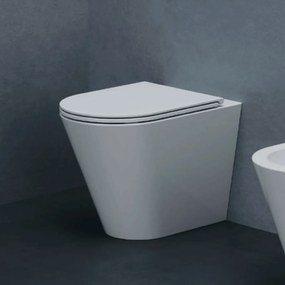 Wc Da Terra Senza Brida Azzurra Ceramica Filo Muro Bianco Lucido "Forma"