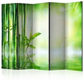 Paravento  Green Bamboo II [Room Dividers]  Colore Verde, Dimensioni e Misure 225x172