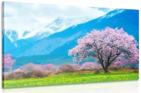 Quadro su tela – Albero magico tra le montagne