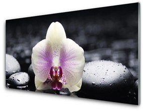 Quadro vetro acrilico Pianta dell'orchidea del fiore 100x50 cm