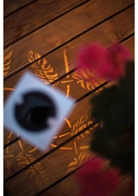 Decorazione a luce solare LED in metallo bianco Albaleaf - Star Trading