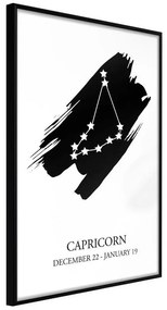 Poster  Zodiac: Capricorn I  Cornice Quadri Cornice nera, Larghezza x Altezza Home decor 40x60