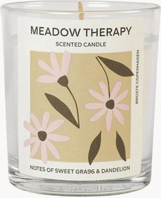 Candela profumata Meadow Therapy (erba & dente di leone)