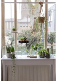 Vaso da fiori in vetro trasparente, 1,5 l - Esschert Design