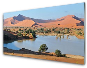 Quadro acrilico Paesaggio del lago deserto 100x50 cm