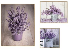 Set di dipinti 3 pz 40x50 cm Purple Flowers – knor