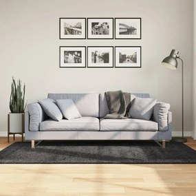 Tappeto Shaggy Pamplona Pelo Lungo Moderno Antracite 100x200cm /