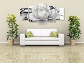 Quadri 5 pezzi – Rose lussuose in bianco e nero
